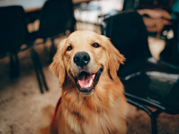 sin título (680 x 510 px) (2)