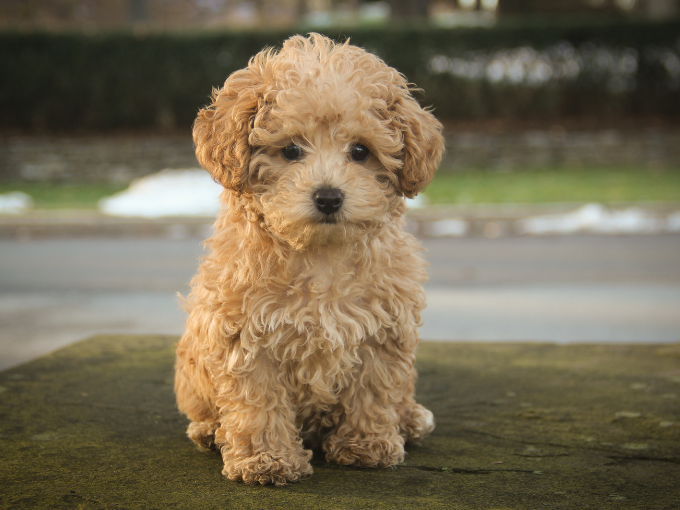 sin título (680 x 510 px) (3)