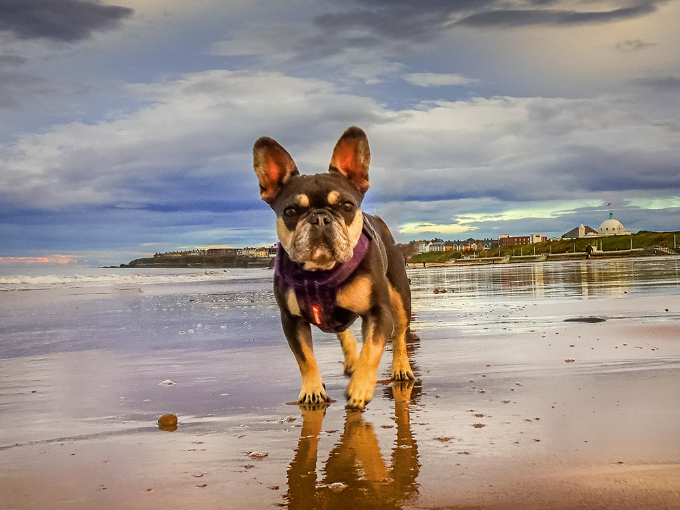 sin título (680 x 510 px) (4)