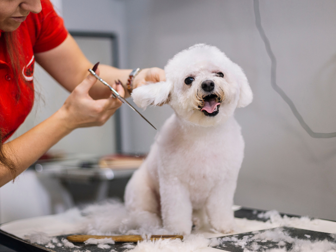 sin título (680 x 510 px) (6)