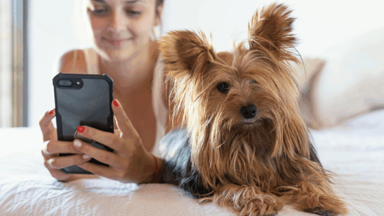 diseño sin título (23)