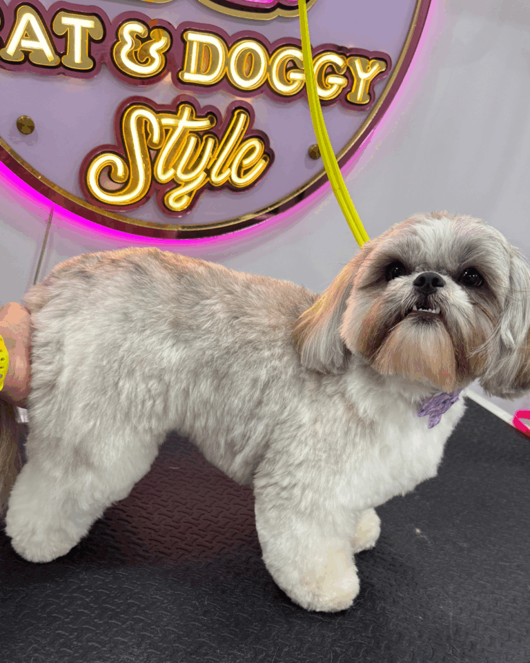 sin título (1080 x 1350 px) (4)