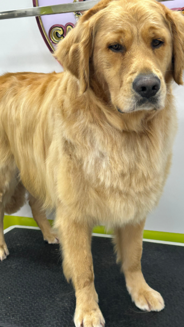 diseño sin título 2025 07 30t011931.990